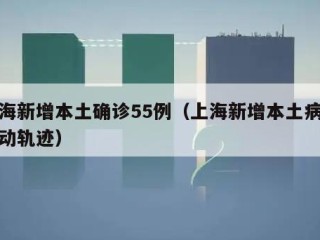 上海新增本土确诊55例（上海新增本土病例行动轨迹）